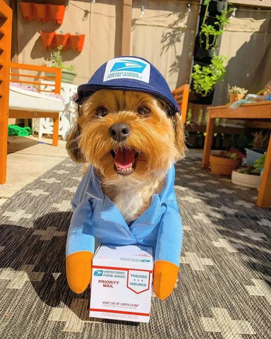 Costume chien livreur : le facteur ne vas pas en revenir ! - Les animaux connectés 🐾