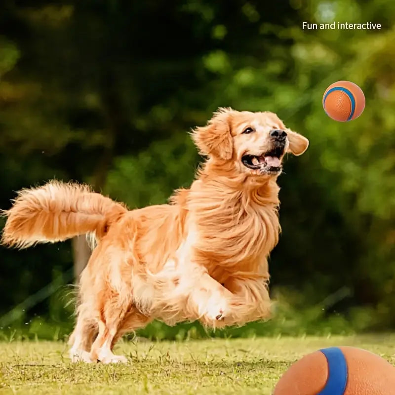 Balle Pour Chien Indestructible : Libérez l'énergie débordante de votre compagnon à quatre pattes ! - Les animaux connectés 🐕📱