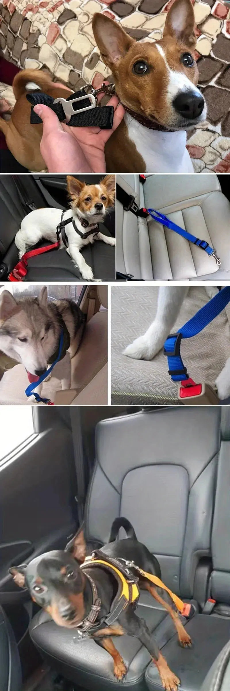 Ceinture de sécurité pour chien - Voyage en voiture en toute sécurité et confort - Les animaux connectés 🐕📱