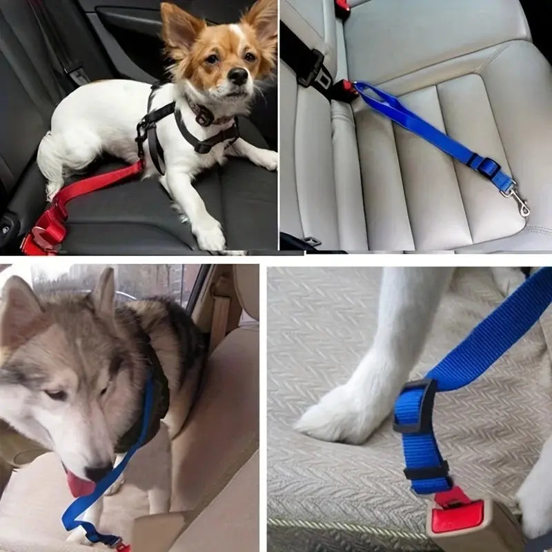 Ceinture de sécurité pour chien - Voyage en voiture en toute sécurité et confort - Les animaux connectés 🐕📱