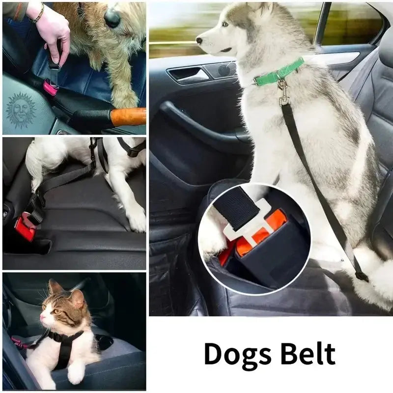 Ceinture de sécurité pour chien - Voyage en voiture en toute sécurité et confort - Les animaux connectés 🐕📱