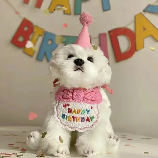 Costume d’anniversaire pour animaux avec son chapeau : votre animal sera le roi de la fête ! - Les animaux connectés 🐾