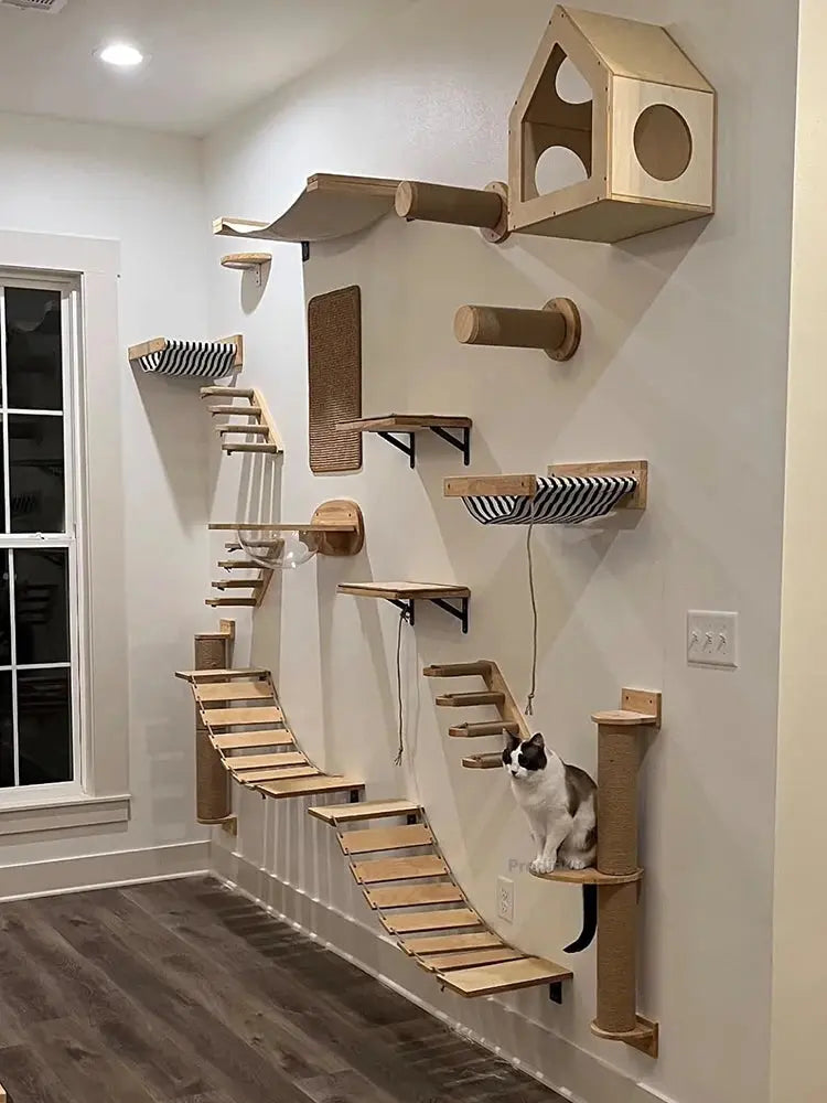 Arbre à chat mural innovant et design : il se fondera dans votre déco✨ Les animaux connectés 🐕📱