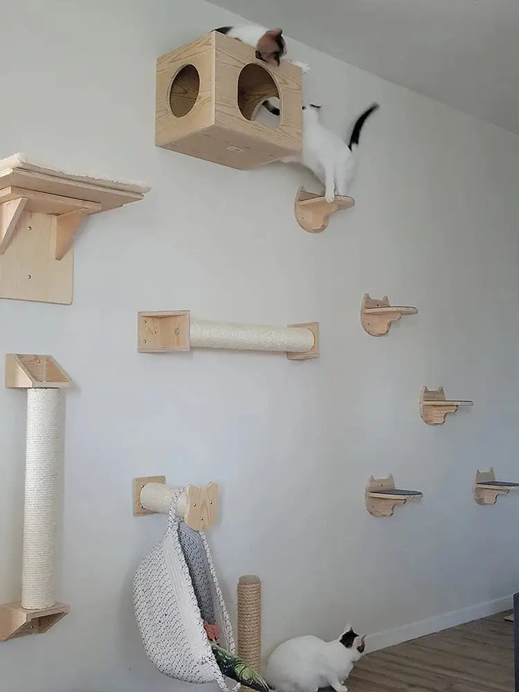 Arbre à chat mural innovant et design : il se fondera dans votre déco✨ Les animaux connectés 🐕📱