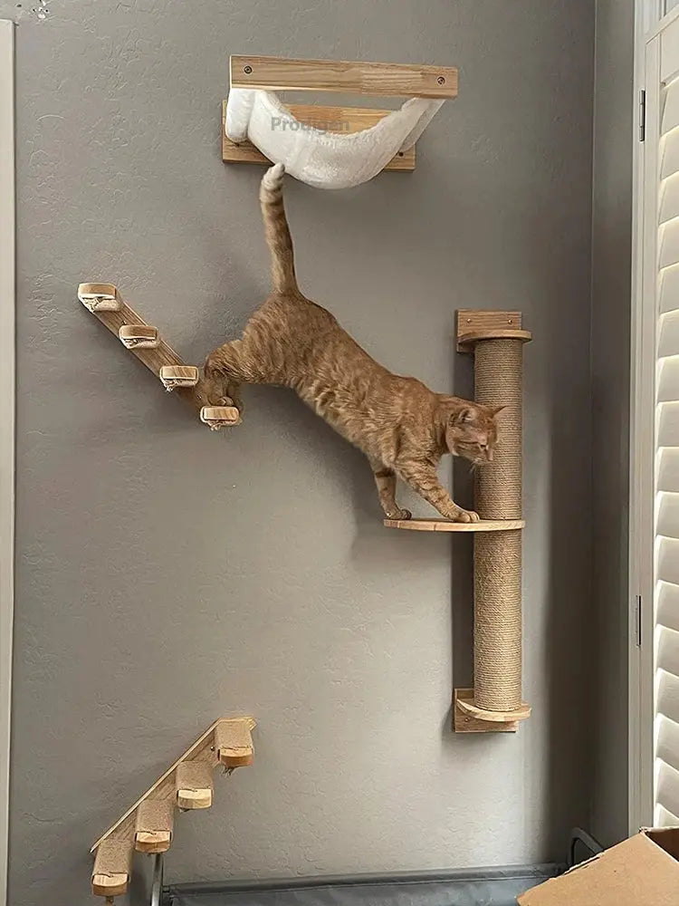 Arbre à chat mural innovant et design : il se fondera dans votre déco✨ Les animaux connectés 🐕📱