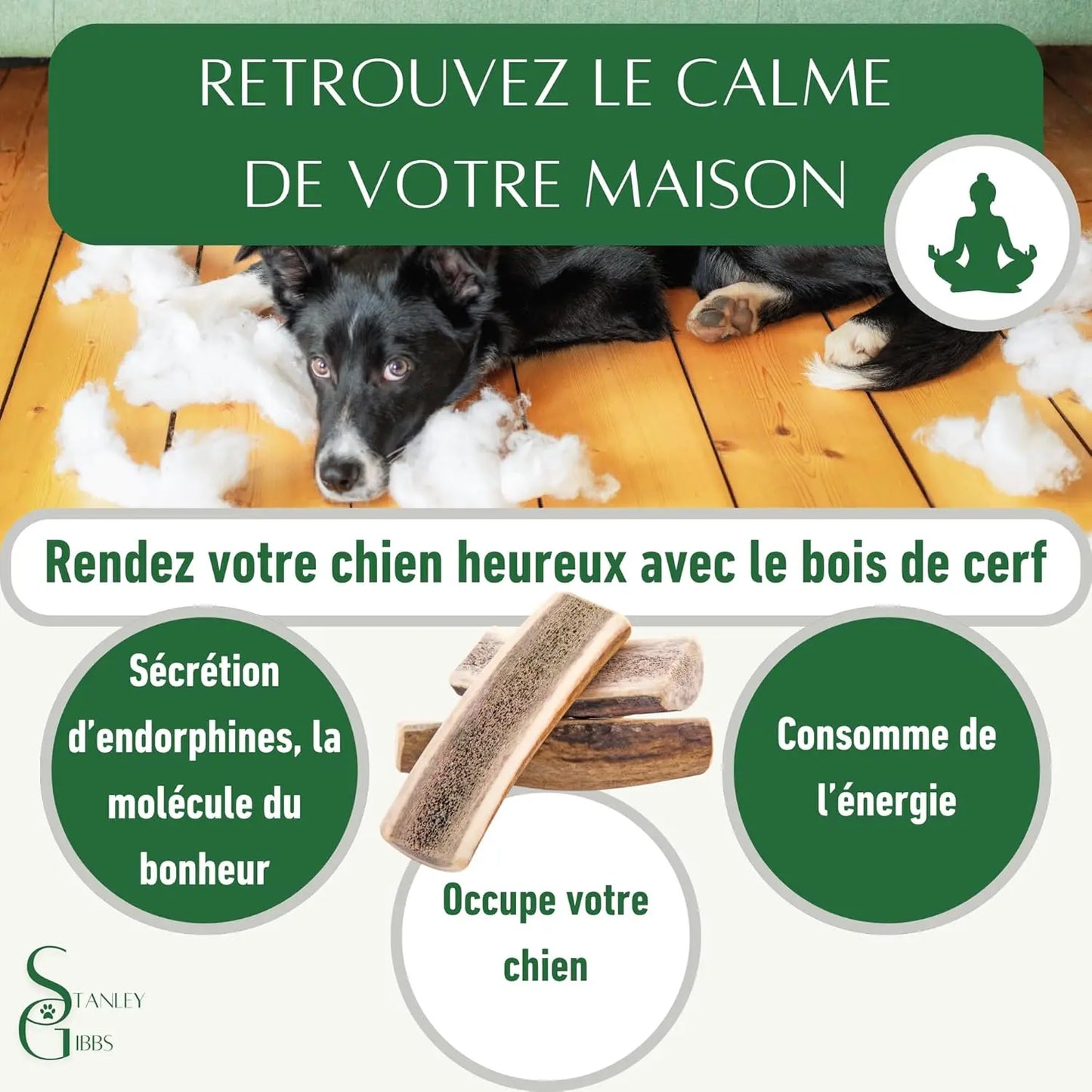 Bois de cerf a Macher TRANCHÉ. Friandise Naturelle pour Chiots et Chiens de Tout âges. Jouet Occupation de Mastication Naturel et écologique. Soins Dentaire idéal Les animaux connectés 🐾