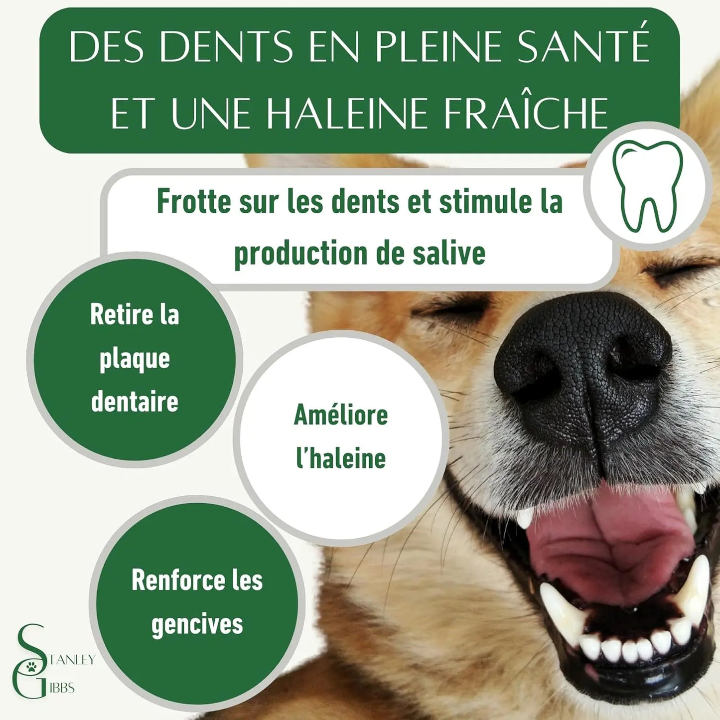 Bois de cerf a Macher TRANCHÉ. Friandise Naturelle pour Chiots et Chiens de Tout âges. Jouet Occupation de Mastication Naturel et écologique. Soins Dentaire idéal Les animaux connectés 🐾