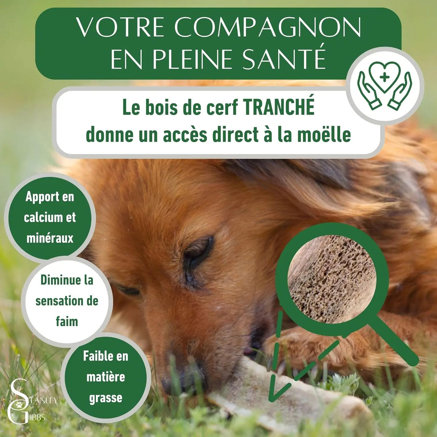 Bois de cerf a Macher TRANCHÉ. Friandise Naturelle pour Chiots et Chiens de Tout âges. Jouet Occupation de Mastication Naturel et écologique. Soins Dentaire idéal Les animaux connectés 🐾