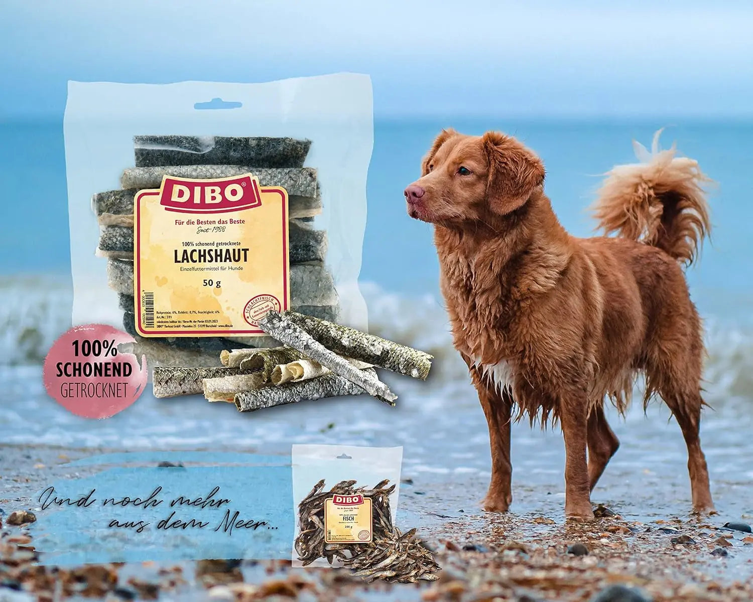 DIBO Peau De Saumon, Sachet De 50 G, Petite Collation Ou Friandise Pour Intermédiaires, Nourriture Pour Chien Les animaux connectés 🐾