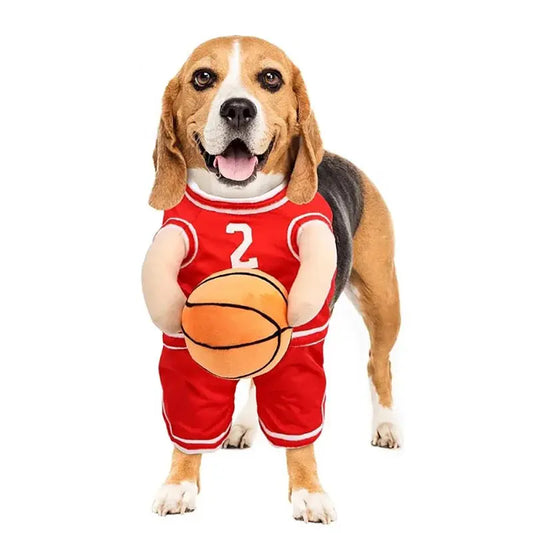 Costume chien basketteur : fais de ton animal le nouveau Tony Parker ! - Les animaux connectés 🐾