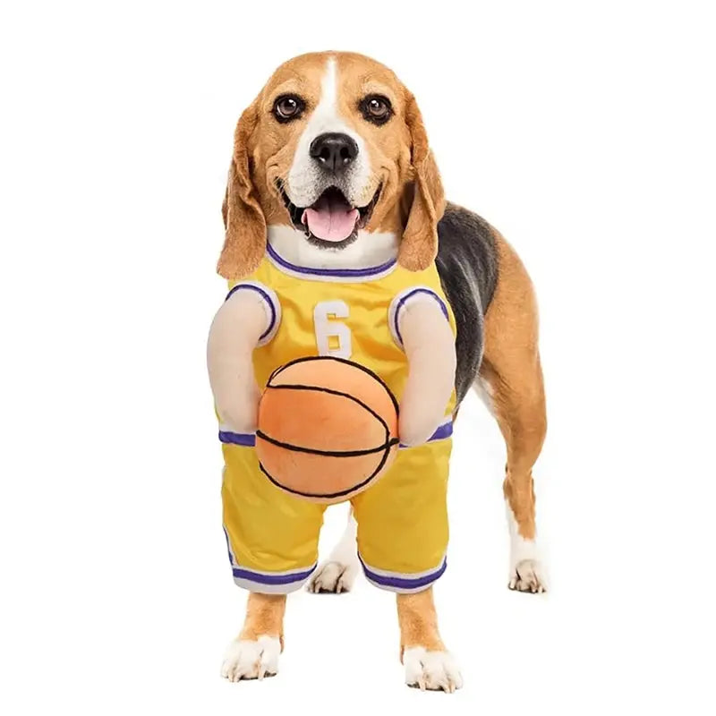 Costume chien basketteur : fais de ton animal le nouveau Tony Parker ! - Les animaux connectés 🐾