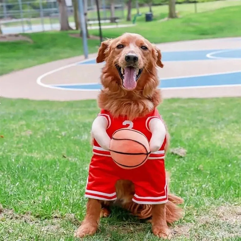 Costume chien basketteur : fais de ton animal le nouveau Tony Parker ! - Les animaux connectés 🐾