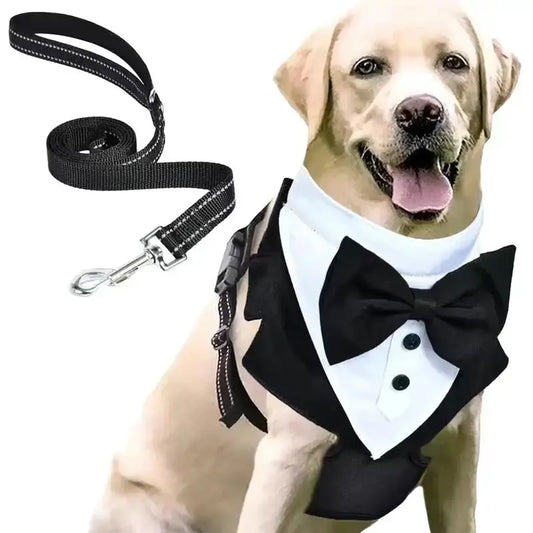 Costume cravate pour chien : la classe canine à l’état pur ! - Les animaux connectés 🐾