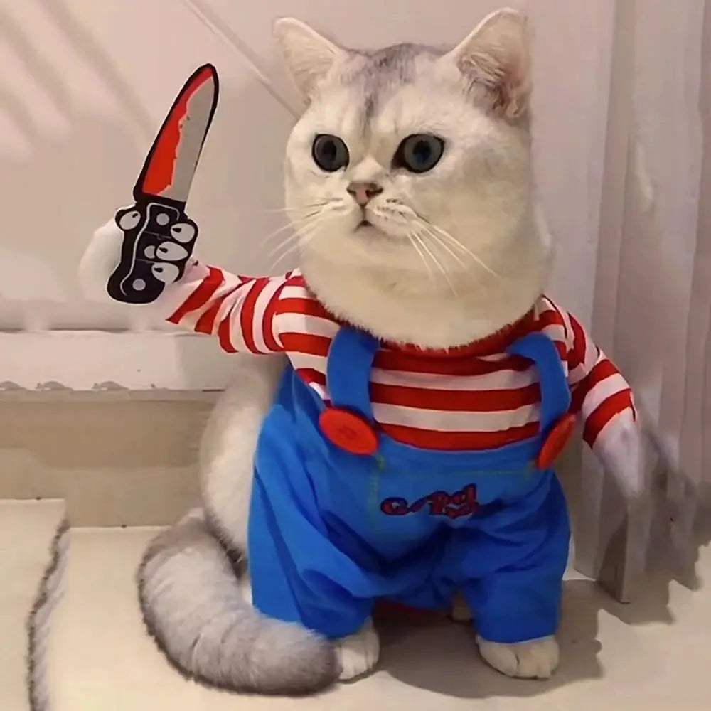 Costume poupée chucky pour chat : Prêt pour des miaulements… mortels 🔪🐈 - Les animaux connectés 🐾