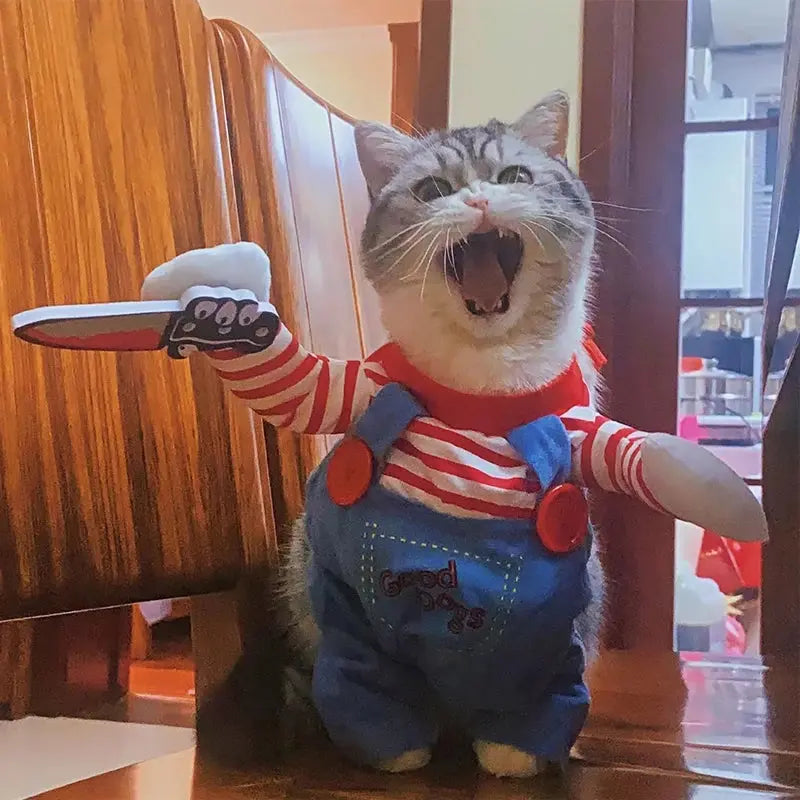 Costume poupée chucky pour chat : Prêt pour des miaulements… mortels 🔪🐈 - Les animaux connectés 🐾