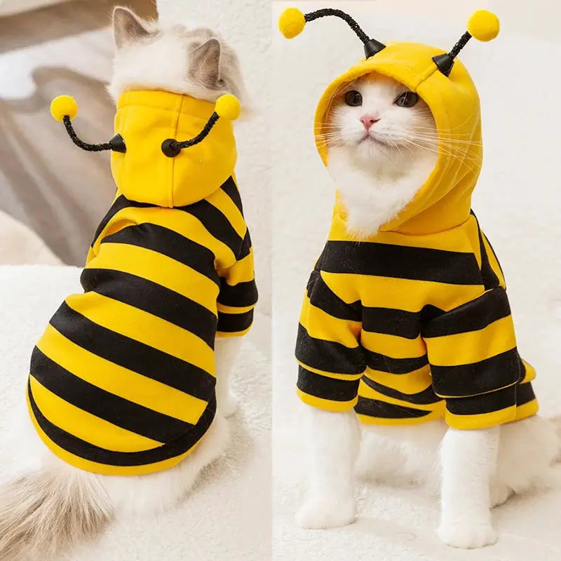 Costume amusant pour animaux imitation abeille : préparez vous à être piquer de rire - Les animaux connectés 🐾