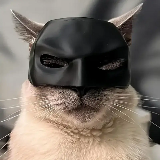 Déguisement pour chat : Transformez votre félin en Batman 🐈🦹🏻 - Les animaux connectés 🐾