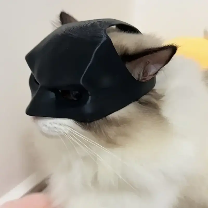 Déguisement pour chat : Transformez votre félin en Batman 🐈🦹🏻 - Les animaux connectés 🐾