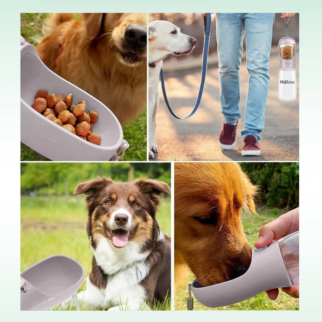 Gourde Chien En Déplacement Avec Récipient Alimentaire De 100G Grande Bouteille D'Eau Portable Pour Chien 550 ML Convient Aux Chiens Chiot Chats - Chien Accessoires Les animaux connectés 🐾