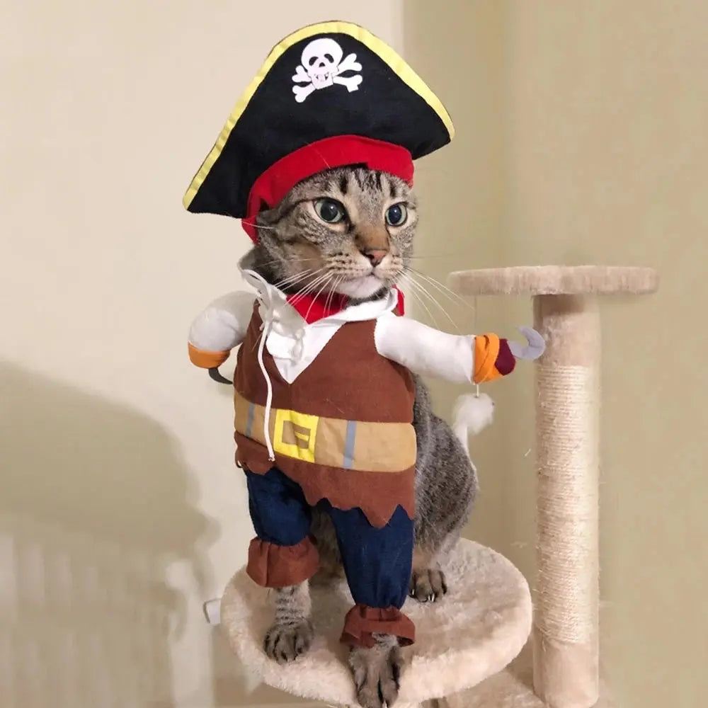 Déguisement de pirate pour animaux : à l’abordage ! - Les animaux connectés 🐾