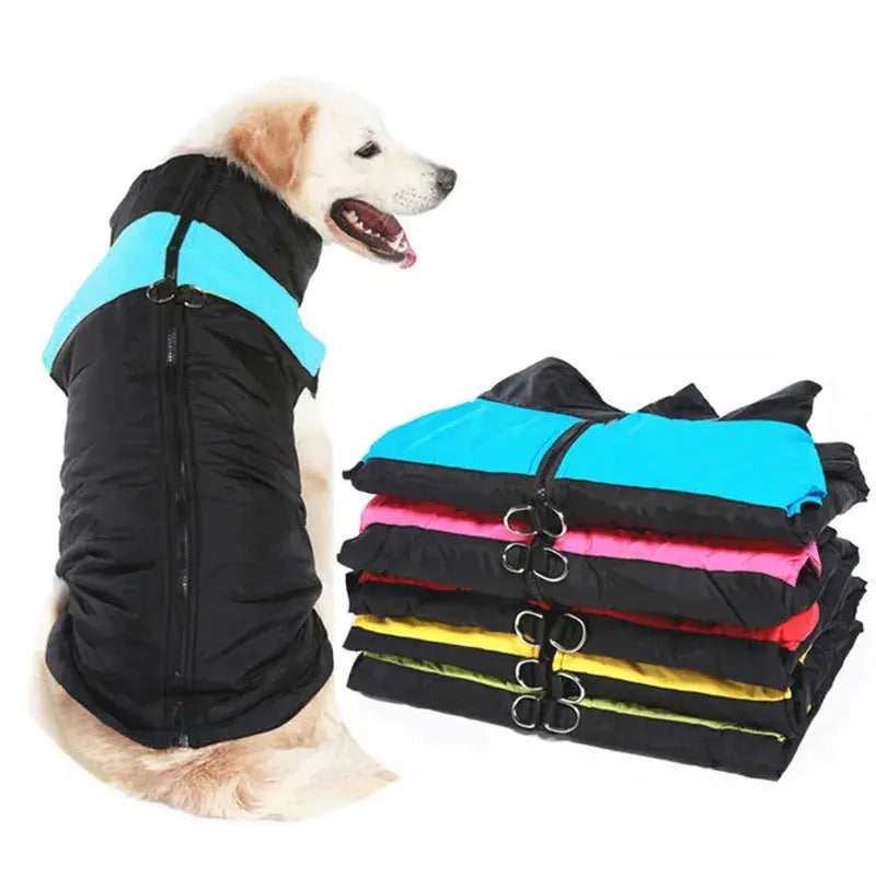 Kway pour chien imperméable avec anneau de traction : idéal pour les jours de pluie Les animaux connectés 🐾