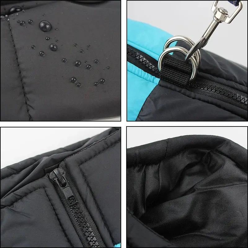 Kway pour chien imperméable avec anneau de traction : idéal pour les jours de pluie Les animaux connectés 🐾