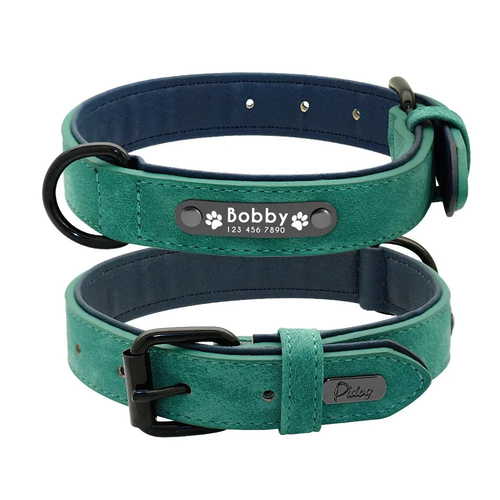 collier vert pour chien