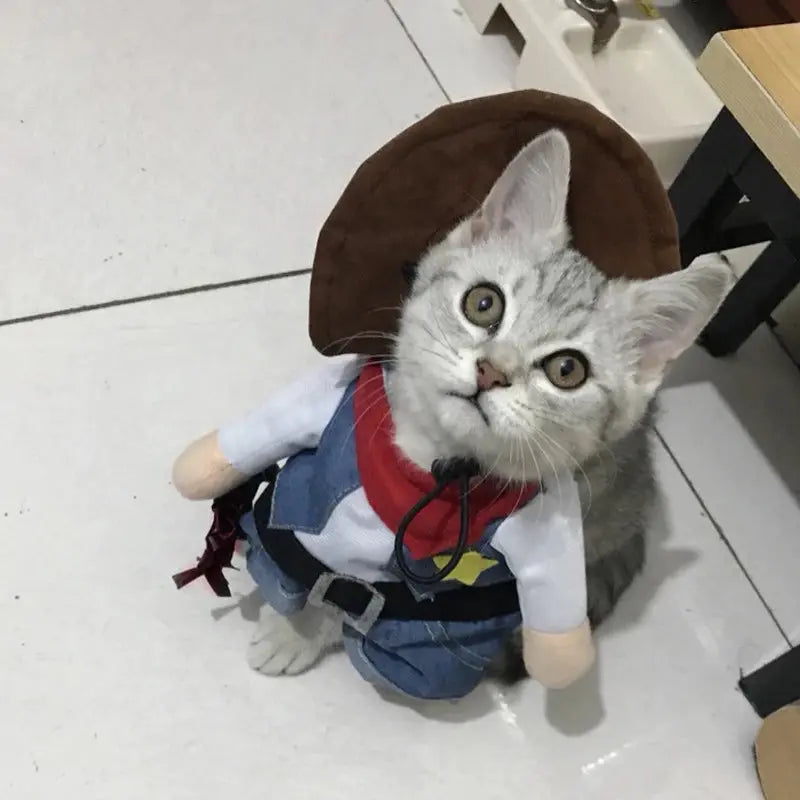 Déguisement de cow-boy pour chat et chien : transforme ton animal en Lucky Luke - Les animaux connectés 🐾