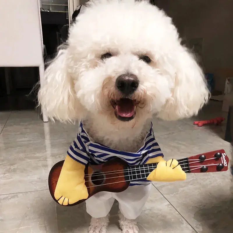 Costume pour chat et chien : laisse sortir le guitariste qui sommeil en ton animal - Les animaux connectés 🐾