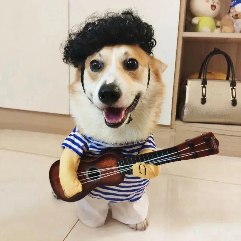 Costume pour chat et chien : laisse sortir le guitariste qui sommeil en ton animal - Les animaux connectés 🐾