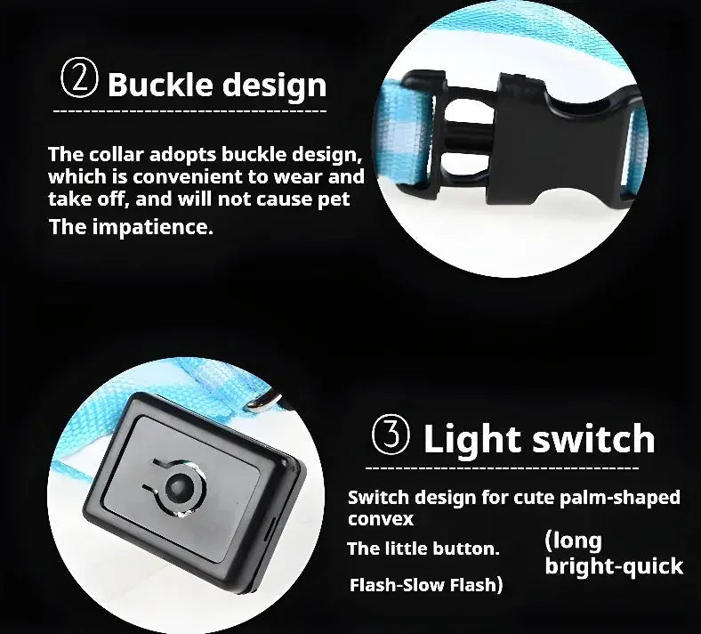 Collier LED Lumineux pour Chien - Sécurité et Style pour vos Promenades Nocturnes 🦮🌙 - Les animaux connectés 🐕📱