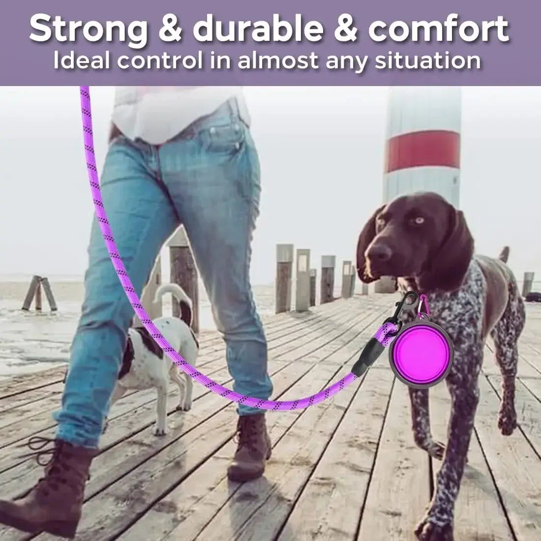 Laisse pour Chien Robuste et Confortable - Parfaite pour les Grandes Promenades - Les animaux connectés 🐕📱