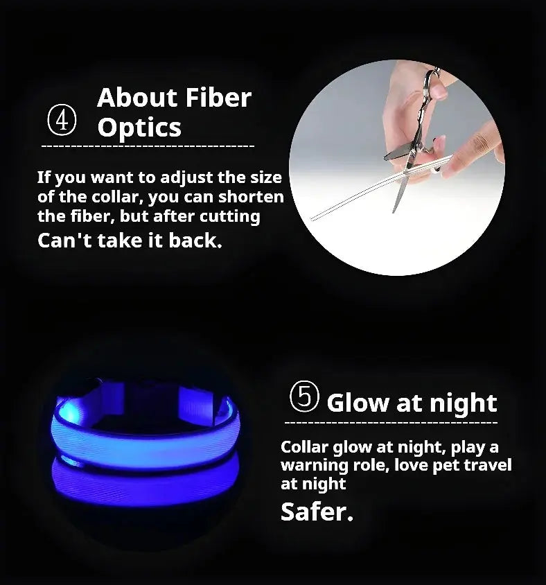 Collier LED Lumineux pour Chien - Sécurité et Style pour vos Promenades Nocturnes 🦮🌙 - Les animaux connectés 🐕📱