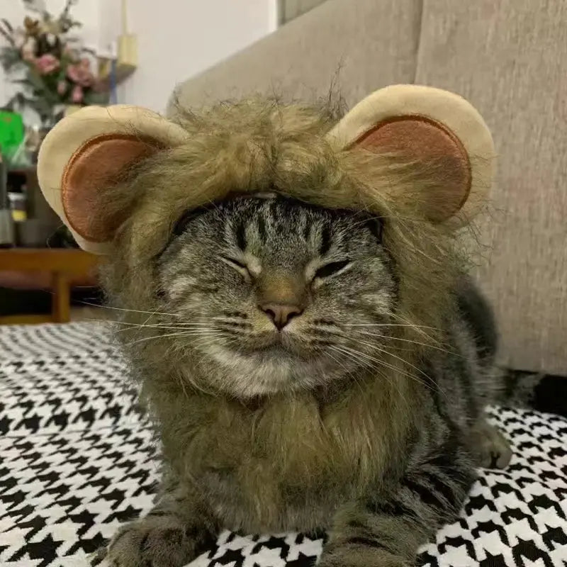 Lion costume pour chat : Votre chat le nouveau roi de la jungle ! 🦁 - Les animaux connectés 🐕📱