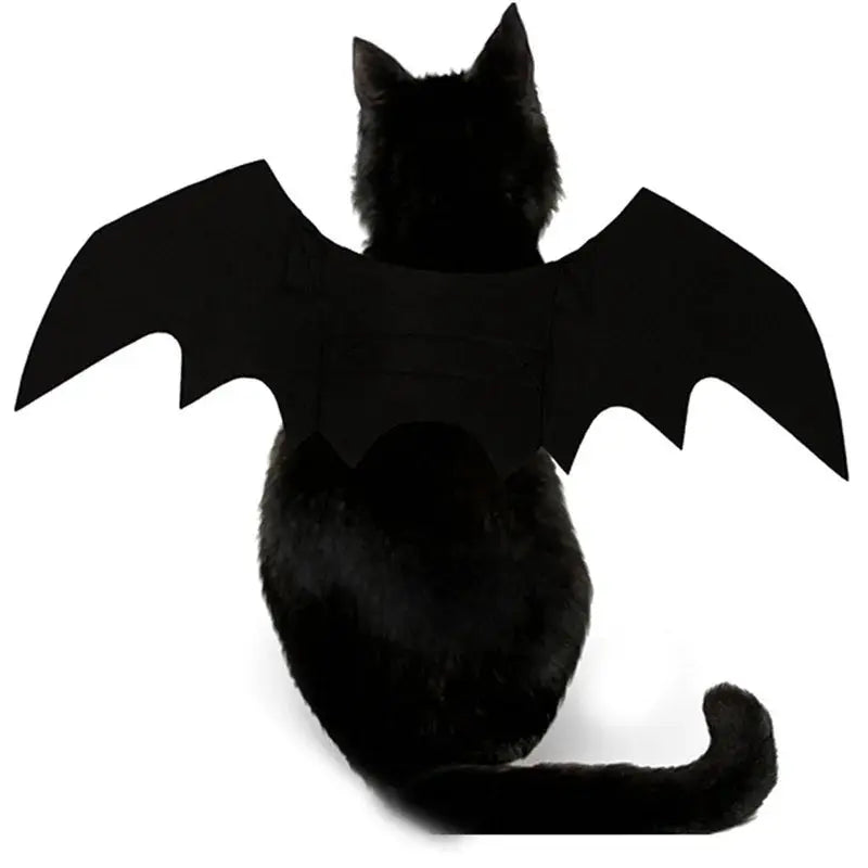 Votre chat va voler la vedette à Halloween avec ces ailes de chauve souris pour chat irrésistibles ! - Les animaux connectés 🐕📱