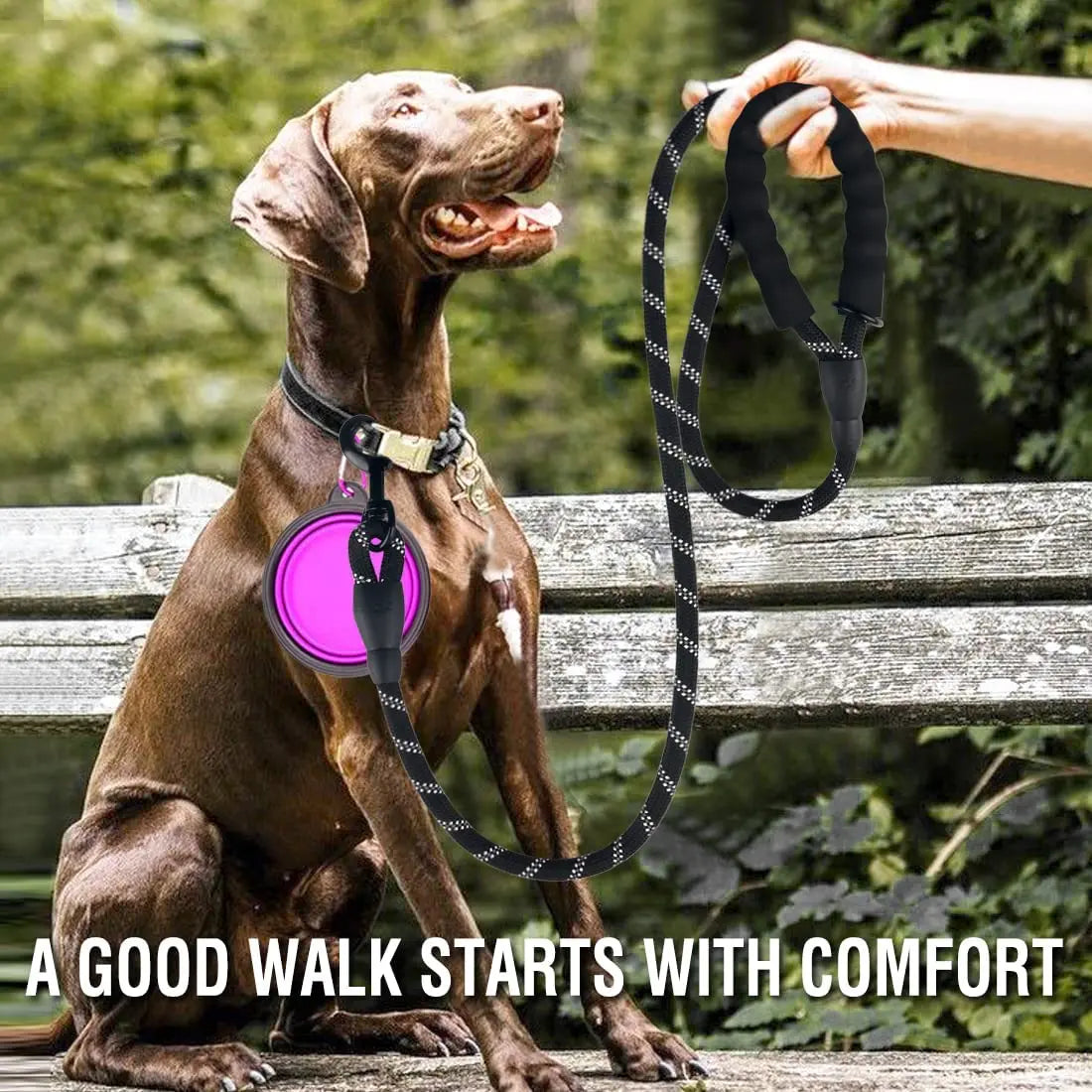 Laisse pour Chien Robuste et Confortable - Parfaite pour les Grandes Promenades - Les animaux connectés 🐕📱