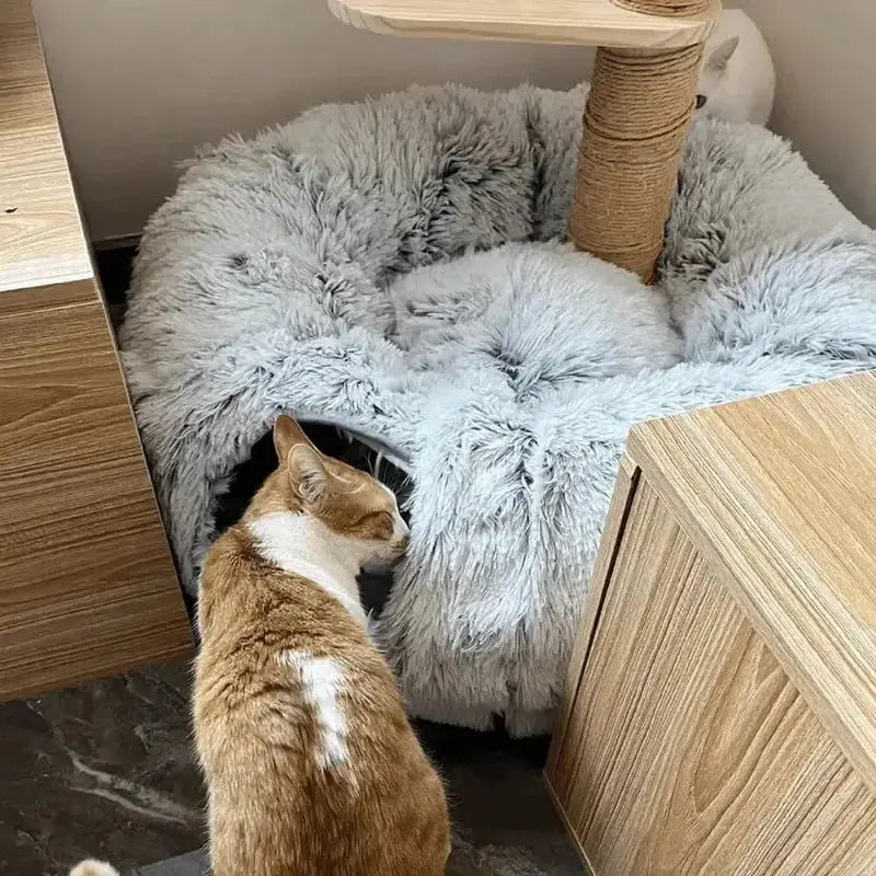 Plush Cat Bed with Tunnel for Indoor Cats Multifunctional Cat Tunnel Bed with Peephole  Fluffy Donut Cat Bed with Tunnel Les animaux connectés 🐕📱