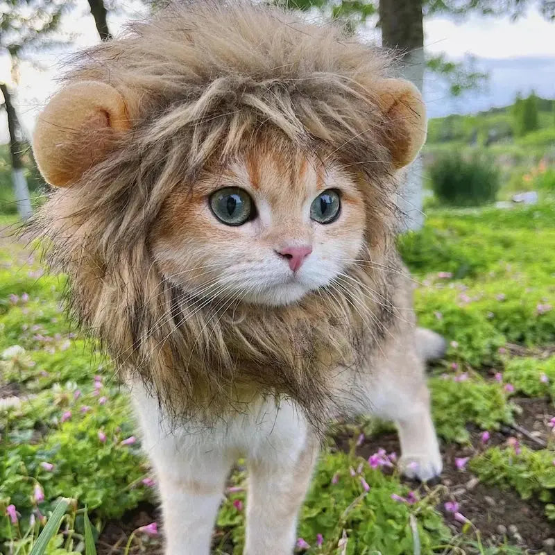 Lion costume pour chat : Votre chat le nouveau roi de la jungle ! 🦁 - Les animaux connectés 🐕📱