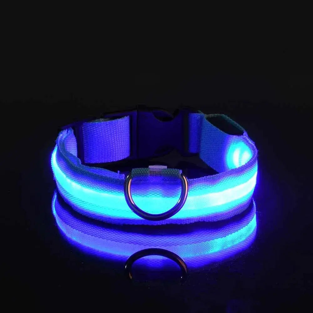 Collier LED Lumineux pour Chien - Sécurité et Style pour vos Promenades Nocturnes 🦮🌙 - Les animaux connectés 🐕📱