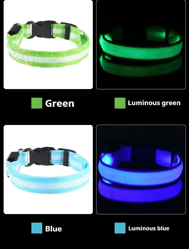 Collier LED Lumineux pour Chien - Sécurité et Style pour vos Promenades Nocturnes 🦮🌙 - Les animaux connectés 🐕📱