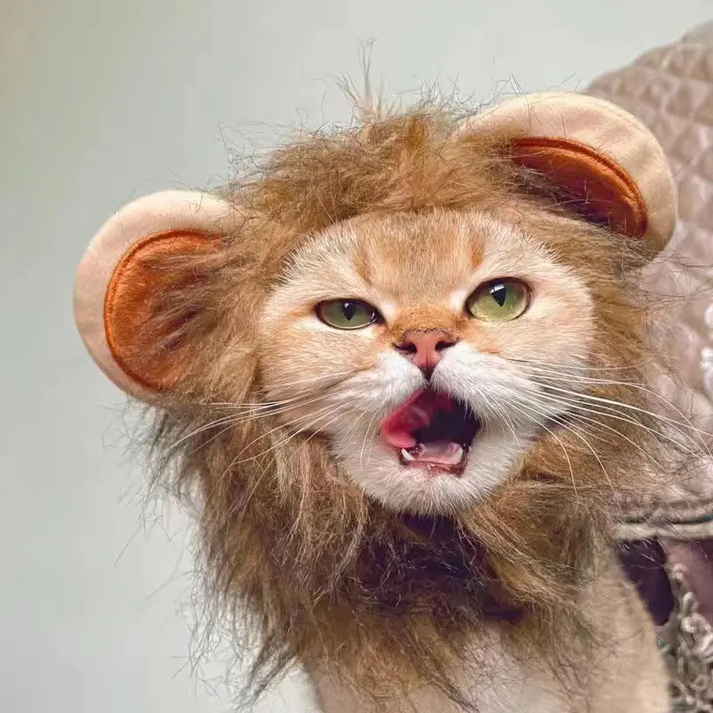 Lion costume pour chat : Votre chat le nouveau roi de la jungle ! 🦁 - Les animaux connectés 🐕📱