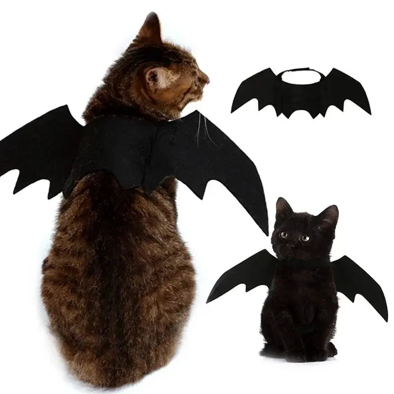 Votre chat va voler la vedette à Halloween avec ces ailes de chauve souris pour chat irrésistibles ! - Les animaux connectés 🐕📱