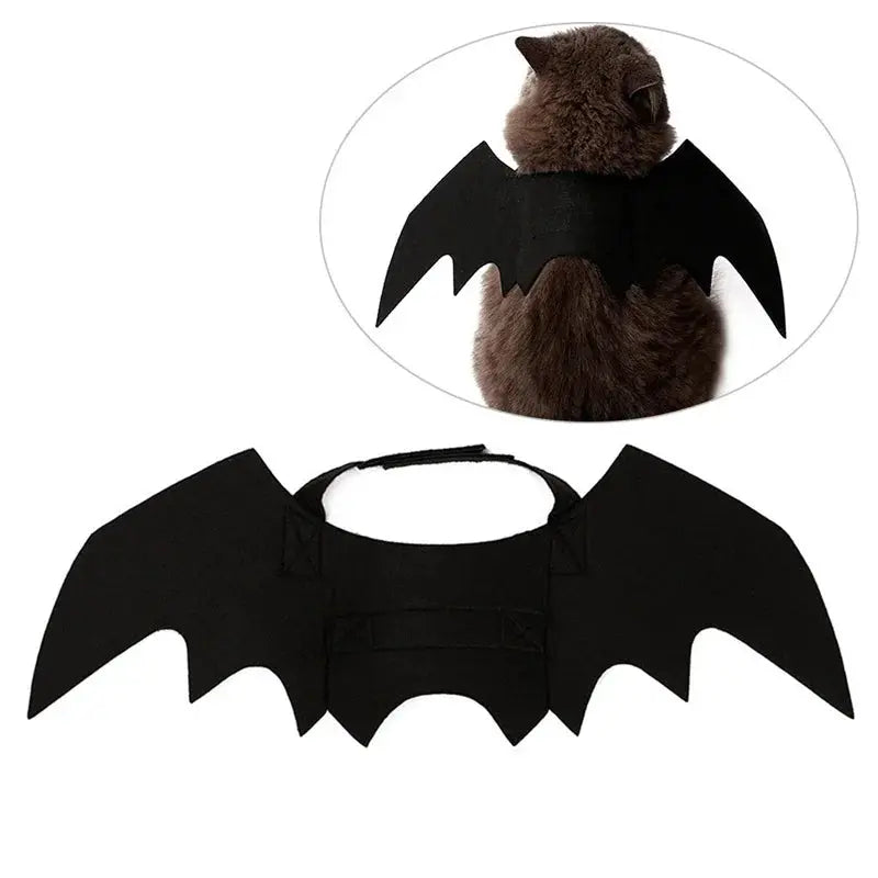 Votre chat va voler la vedette à Halloween avec ces ailes de chauve souris pour chat irrésistibles ! - Les animaux connectés 🐕📱