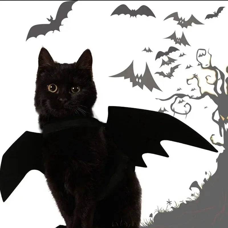 Votre chat va voler la vedette à Halloween avec ces ailes de chauve souris pour chat irrésistibles ! - Les animaux connectés 🐕📱