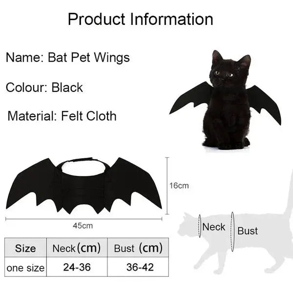 Votre chat va voler la vedette à Halloween avec ces ailes de chauve souris pour chat irrésistibles ! - Les animaux connectés 🐕📱