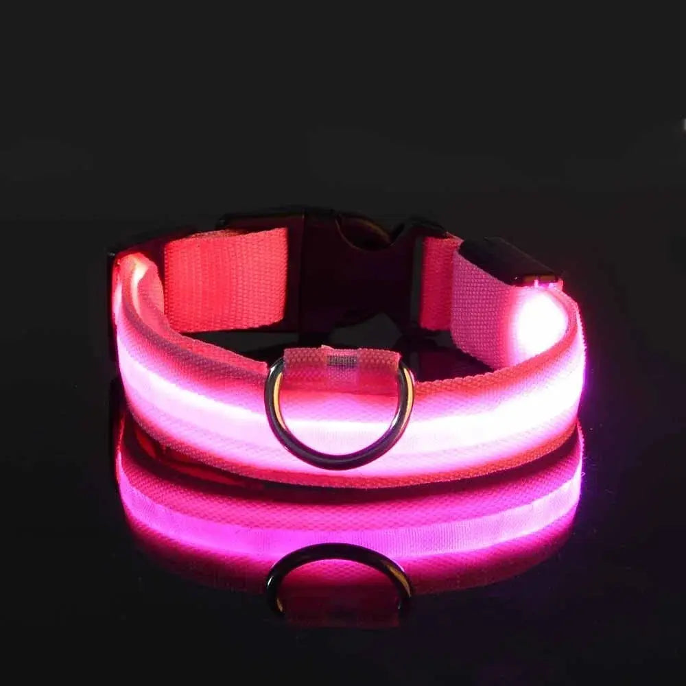 Collier LED Lumineux pour Chien - Sécurité et Style pour vos Promenades Nocturnes 🦮🌙 - Les animaux connectés 🐕📱