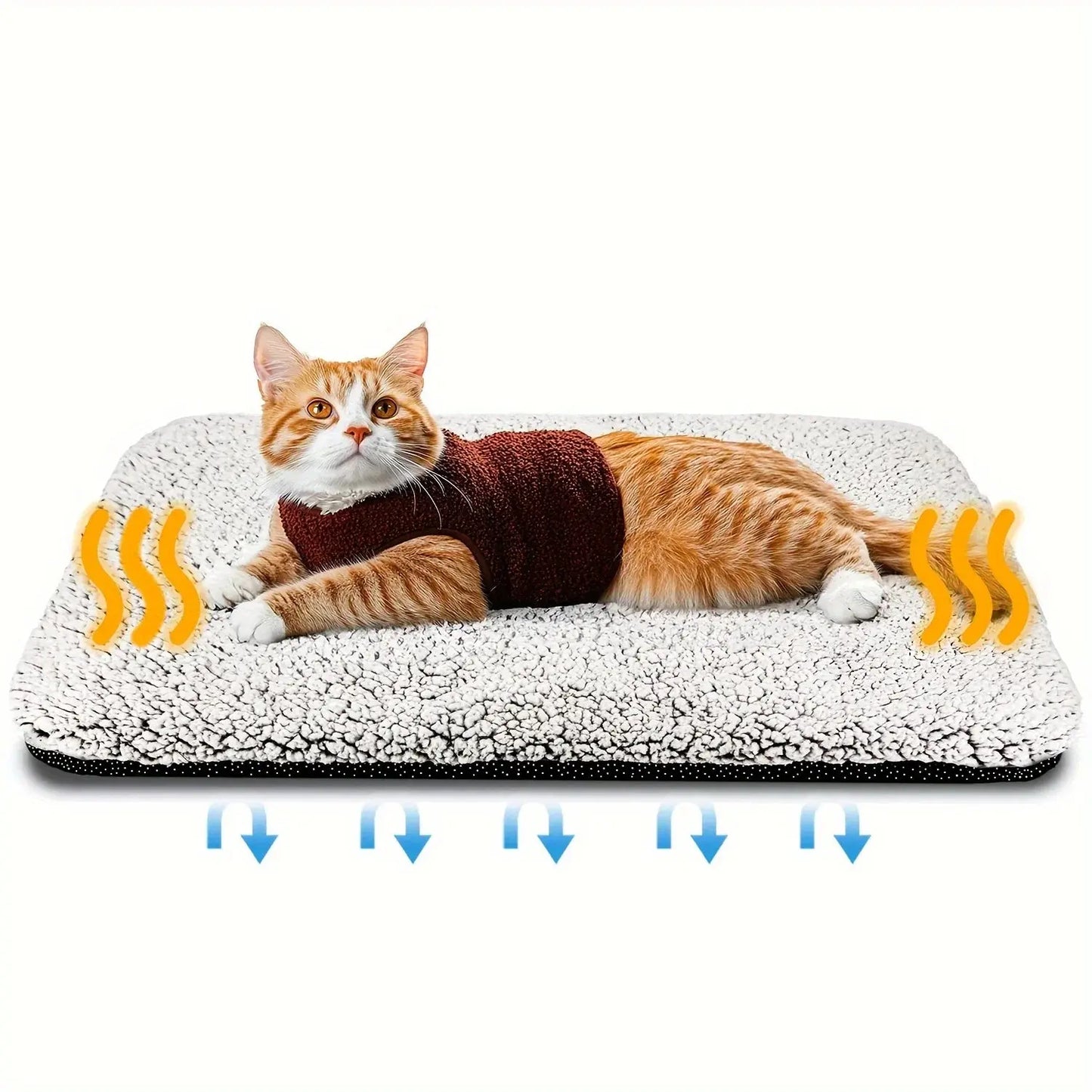 Tapis auto chauffant pour animaux : parfait pour un hiver au chaud - Les animaux connectés 🐾