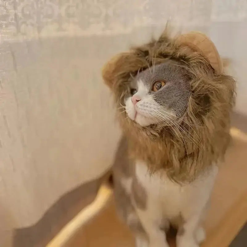 Lion costume pour chat : Votre chat le nouveau roi de la jungle ! 🦁 - Les animaux connectés 🐕📱