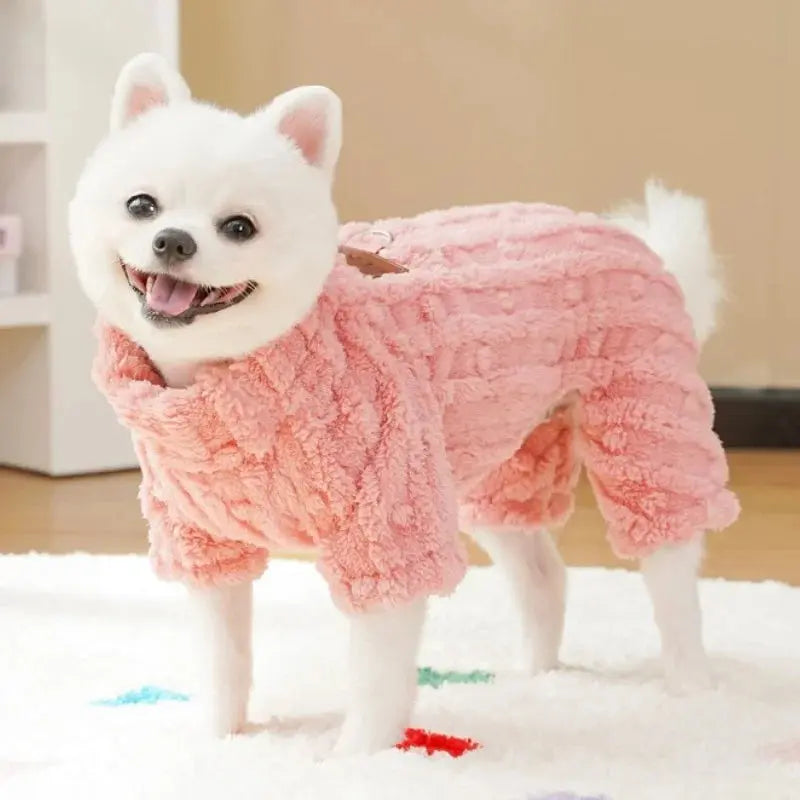 Pyjama pour chien colorés : parfait pour une soirée pyjama avec votre compagnon😻 - Les animaux connectés 🐾