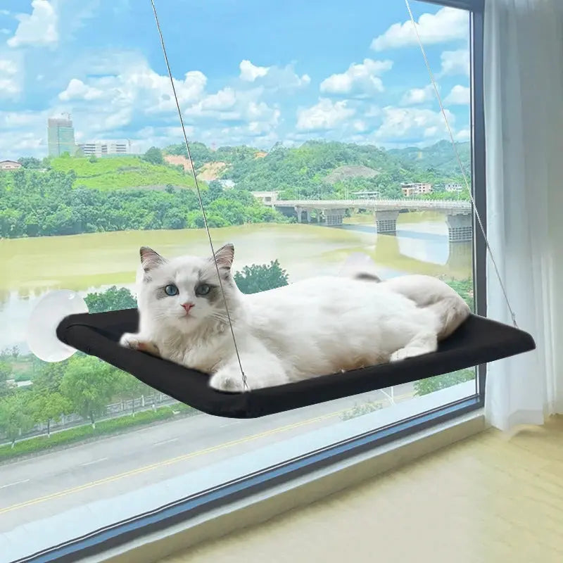 Ultra-Soft Cat Window Hammock Bed - Cozy Cloud-Like Perch for Feline Naptime - Securely Mounted, Perfect Space-Saving Les animaux connectés 🐕📱